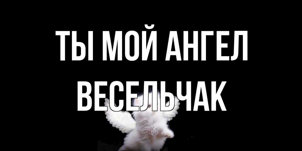 Открытка на каждый день с именем, Весельчак Ты мой ангел Кот ангел Прикольная открытка с пожеланием онлайн скачать бесплатно 