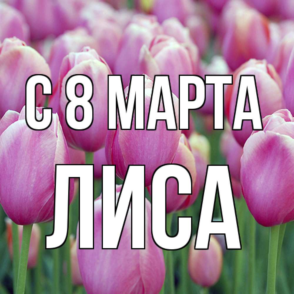 Открытка на каждый день с именем, лиса C 8 МАРТА на международный женский день 3 Прикольная открытка с пожеланием онлайн скачать бесплатно 