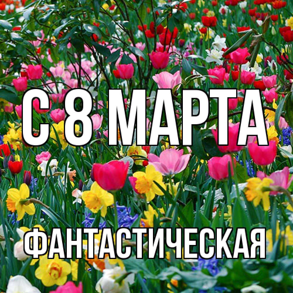 Открытка на каждый день с именем, Фантастическая C 8 МАРТА с международным женским днем поздравления для женщины Прикольная открытка с пожеланием онлайн скачать бесплатно 