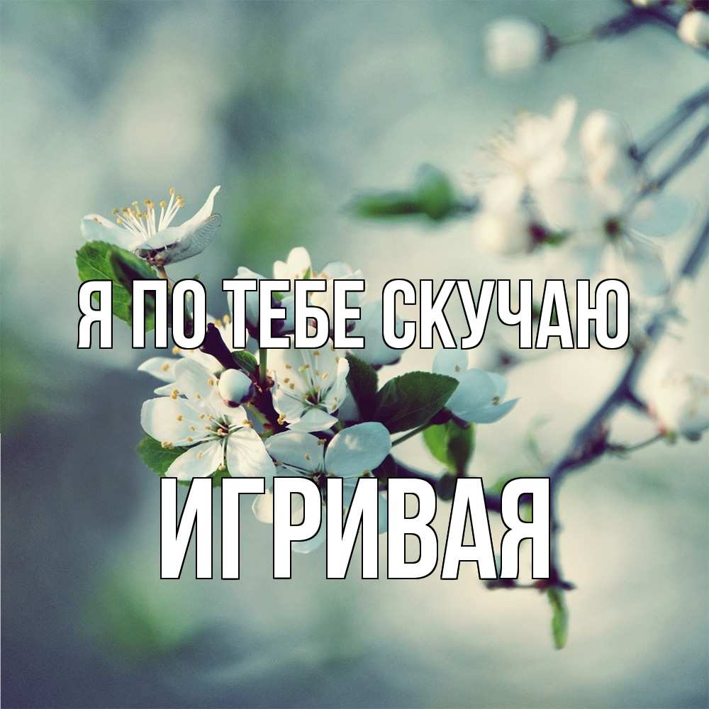 Открытка на каждый день с именем, игривая Я по тебе скучаю весна Прикольная открытка с пожеланием онлайн скачать бесплатно 