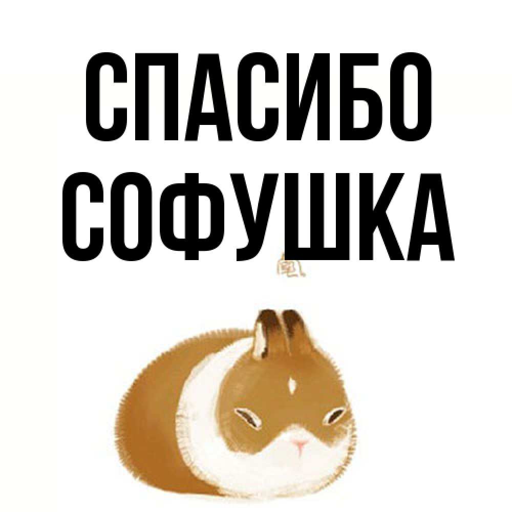Открытка на каждый день с именем, Софушка Спасибо коричнево белый домашний питомец Прикольная открытка с пожеланием онлайн скачать бесплатно 
