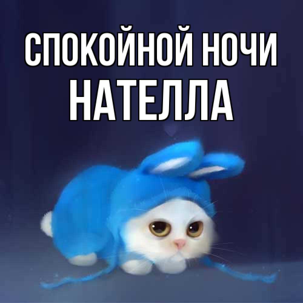 Открытка на каждый день с именем, Нателла Спокойной ночи кот в голубом костюме кролика с ушками Прикольная открытка с пожеланием онлайн скачать бесплатно 