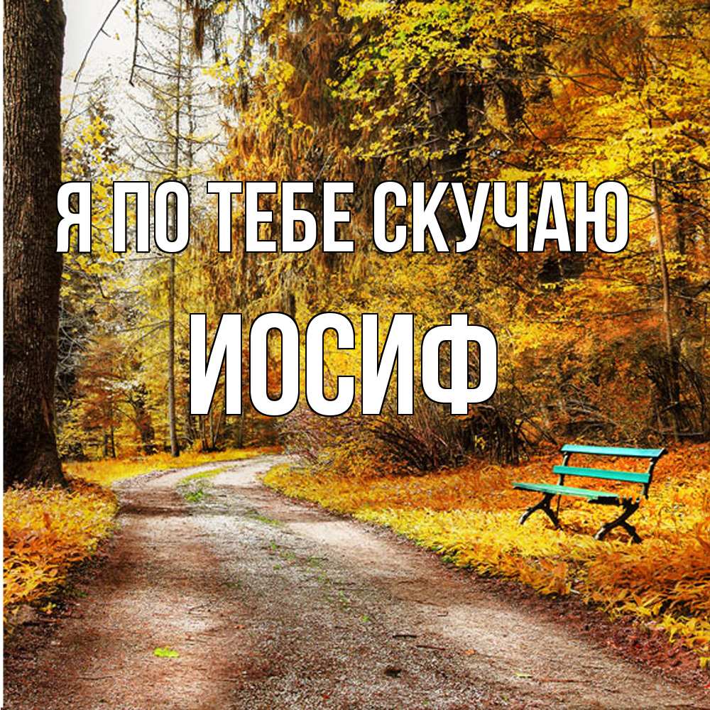 Открытка на каждый день с именем, Иосиф Я по тебе скучаю зеленая лавочка и осенний лес Прикольная открытка с пожеланием онлайн скачать бесплатно 