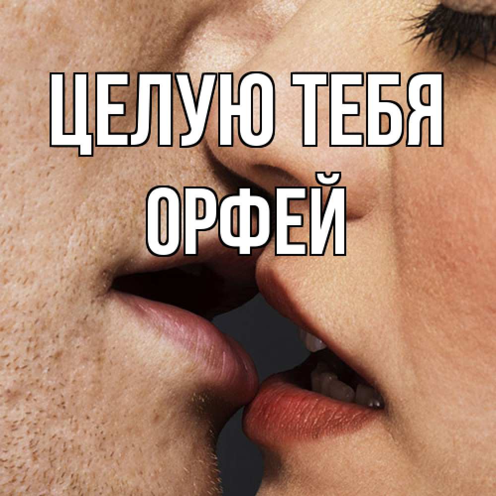 Открытка на каждый день с именем, Орфей Целую тебя поцелуй с подписью Прикольная открытка с пожеланием онлайн скачать бесплатно 