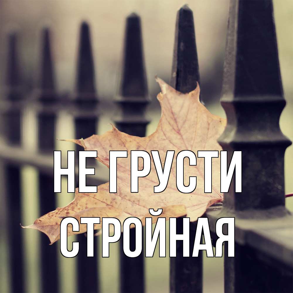 Открытка на каждый день с именем, Стpойная Не грусти лист клена Прикольная открытка с пожеланием онлайн скачать бесплатно 