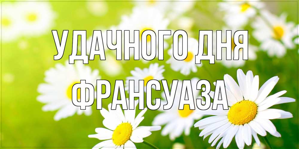 Открытка на каждый день с именем, Франсуаза Удачного дня открытка с ромашками на зеленом фоне Прикольная открытка с пожеланием онлайн скачать бесплатно 