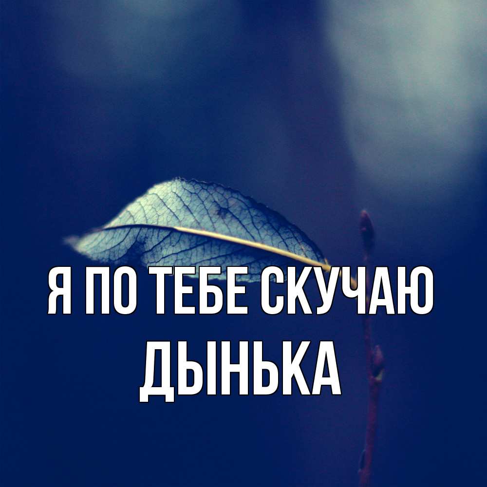 Открытка на каждый день с именем, Дынька Я по тебе скучаю одна ветка 1 Прикольная открытка с пожеланием онлайн скачать бесплатно 