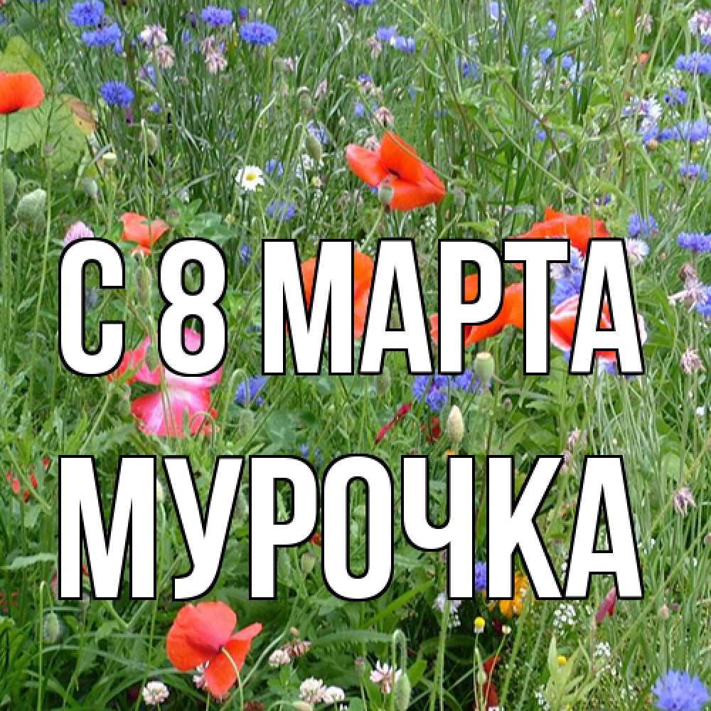 Открытка на каждый день с именем, Мурочка C 8 МАРТА международный женский день 4 Прикольная открытка с пожеланием онлайн скачать бесплатно 