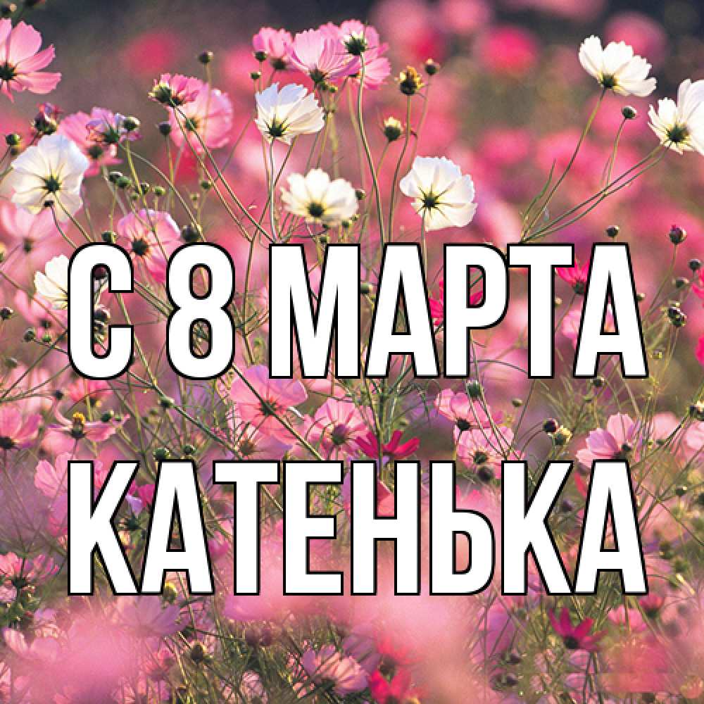 Открытка на каждый день с именем, Катенька C 8 МАРТА красиво 1 Прикольная открытка с пожеланием онлайн скачать бесплатно 
