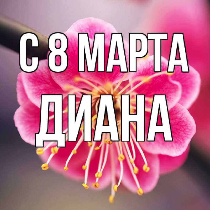 Картинка C 8 МАРТА, Диана