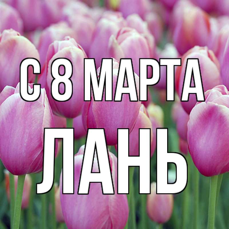 Картинка C 8 МАРТА, лань