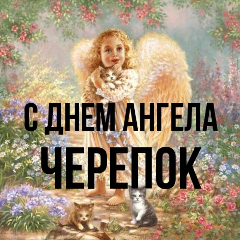 Картинка С днем ангела, Черепок