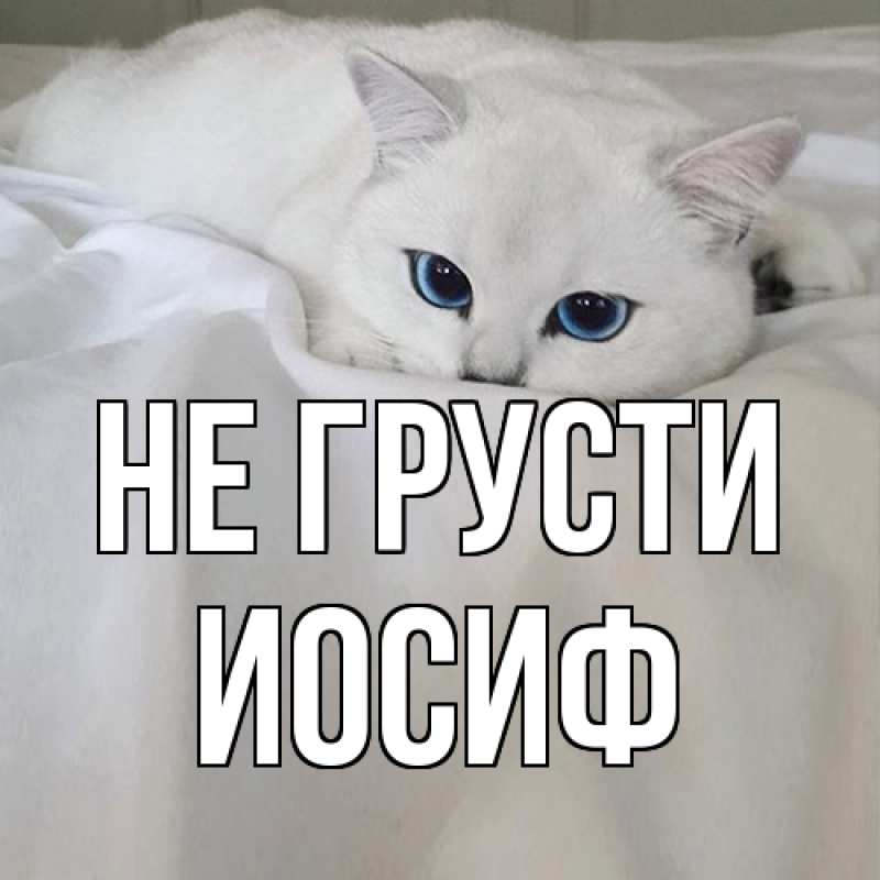 Картинка Не грусти, Иосиф