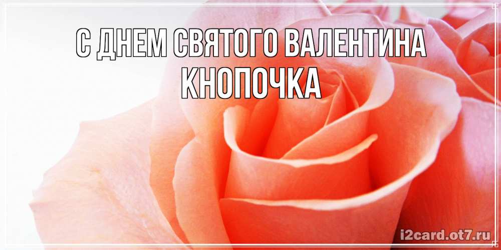 Открытка на каждый день с именем, Кнопочка С днем Святого Валентина открытка на день Святого Валентина с розовой розой Прикольная открытка с пожеланием онлайн скачать бесплатно 