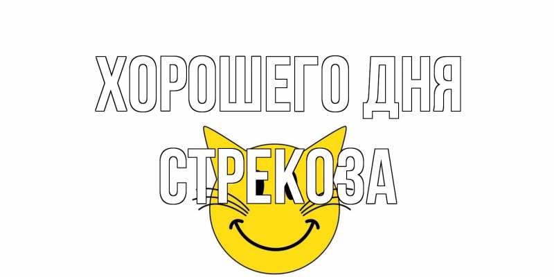 Открытка с именем, Стрекоза, Хорошего дня