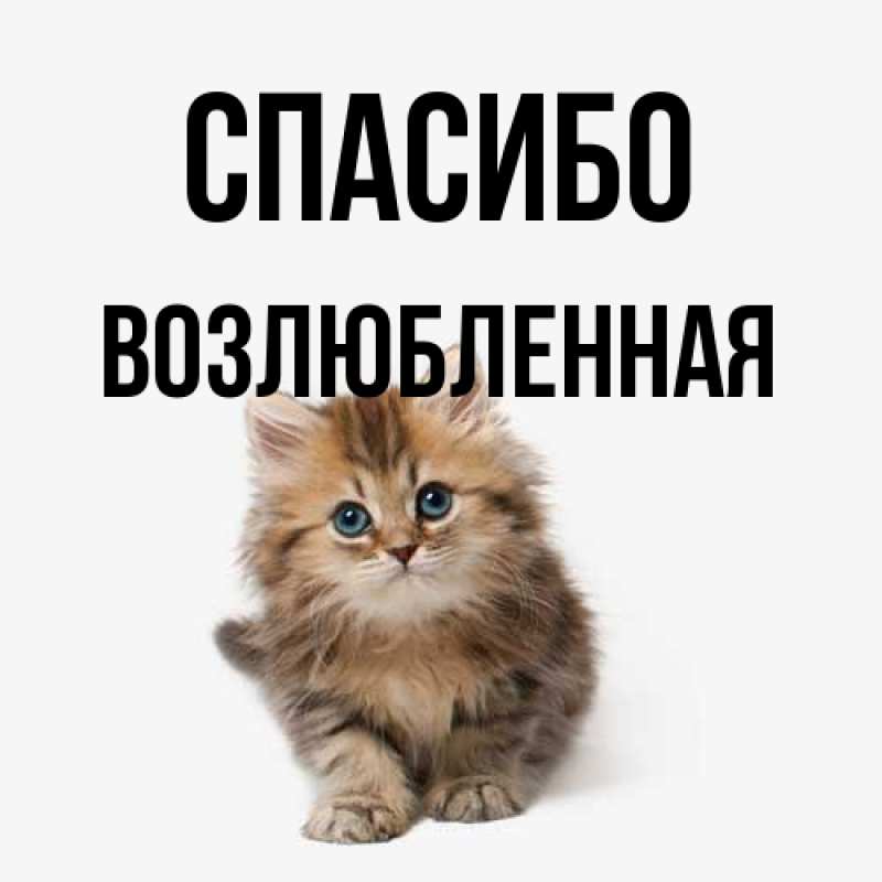 Открытка с именем, Возлюбленная, Спасибо