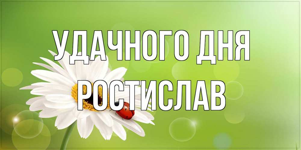 Открытка на каждый день с именем, Ростислав Удачного дня зеленый фон и ромашка Прикольная открытка с пожеланием онлайн скачать бесплатно 