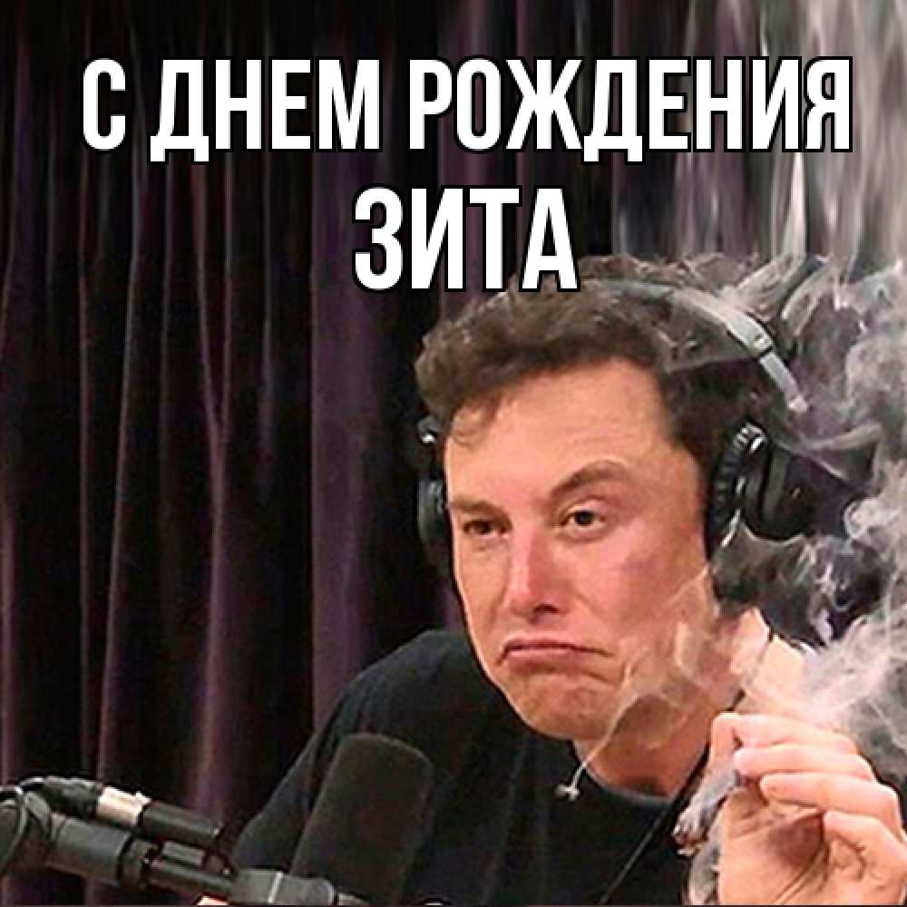 Открытка на каждый день с именем, Зита С днем рождения МЕМ Прикольная открытка с пожеланием онлайн скачать бесплатно 