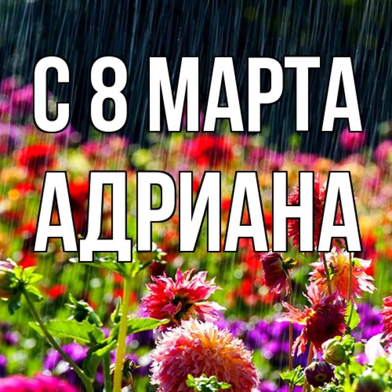 Картинка C 8 МАРТА, Адриана