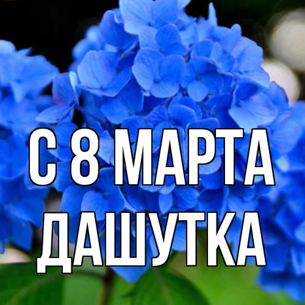 Открытка на каждый день с именем, Дашутка C 8 МАРТА синие цветы Прикольная открытка с пожеланием онлайн скачать бесплатно 