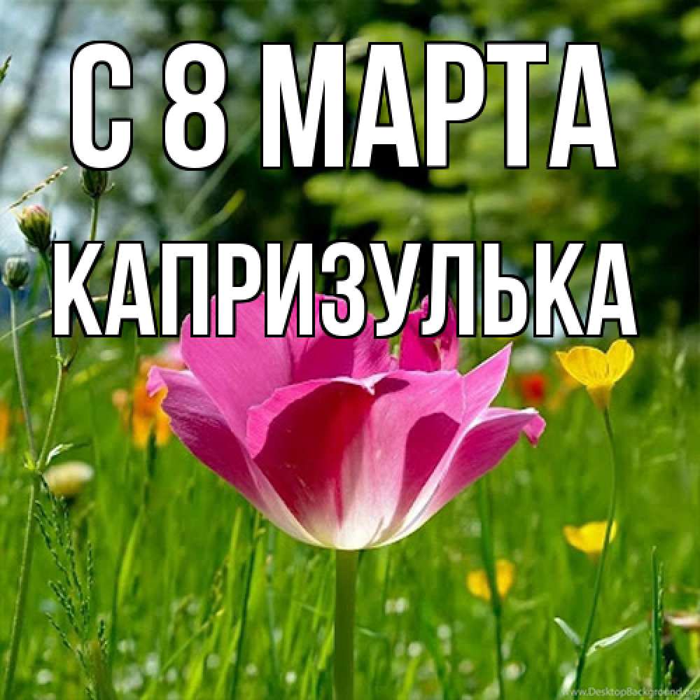 Открытка на каждый день с именем, капризулька C 8 МАРТА полевые цветы Прикольная открытка с пожеланием онлайн скачать бесплатно 