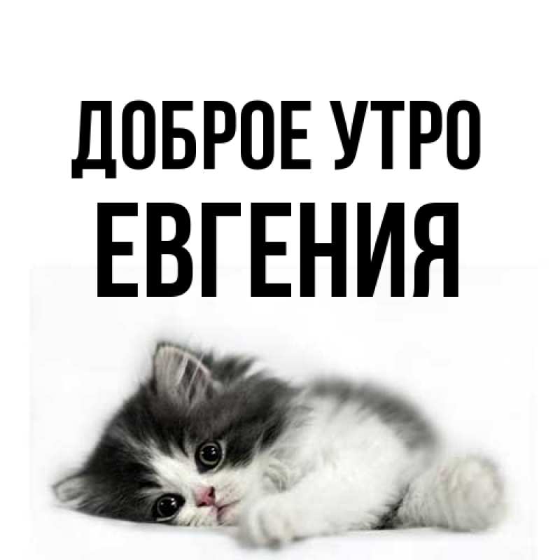 Картинка Доброе утро, Евгения