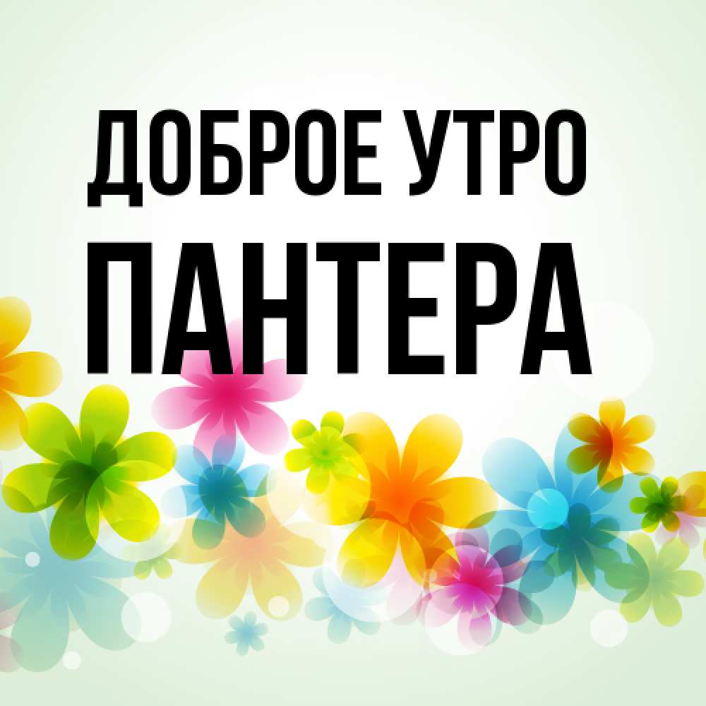 Открытка на каждый день с именем, Пантера Доброе утро позитивные цветочки Прикольная открытка с пожеланием онлайн скачать бесплатно 