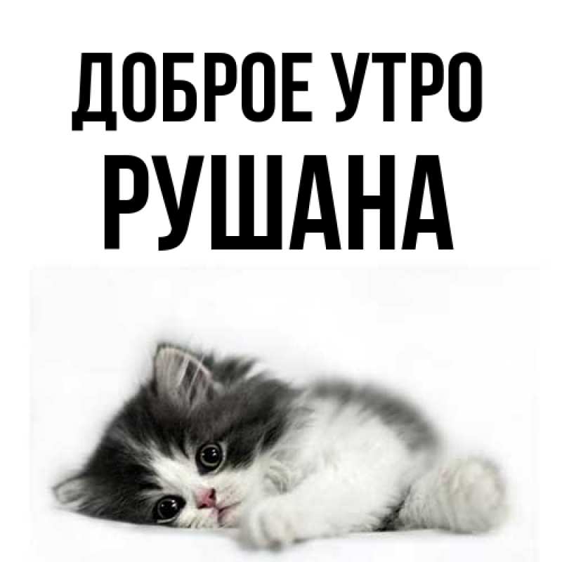 Картинка Доброе утро, Рушана