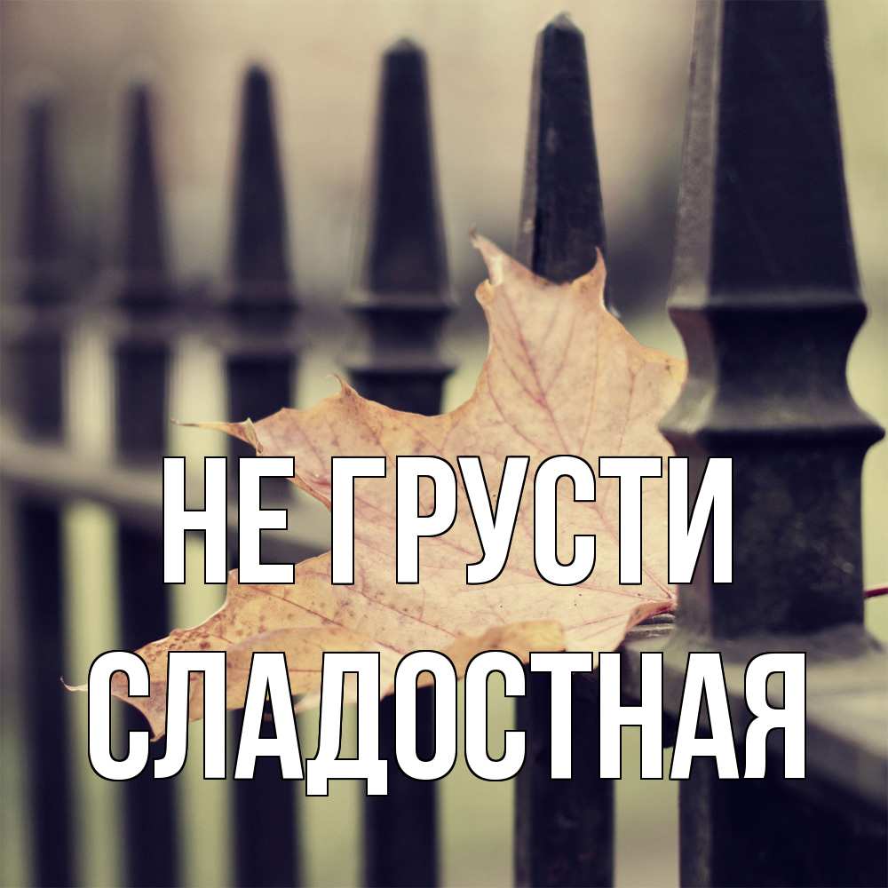 Открытка на каждый день с именем, Сладостная Не грусти лист клена Прикольная открытка с пожеланием онлайн скачать бесплатно 