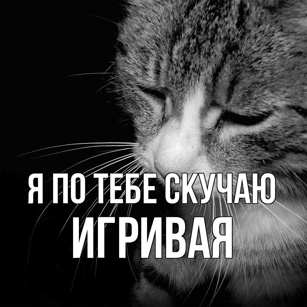 Открытка на каждый день с именем, игривая Я по тебе скучаю мне скучно Прикольная открытка с пожеланием онлайн скачать бесплатно 