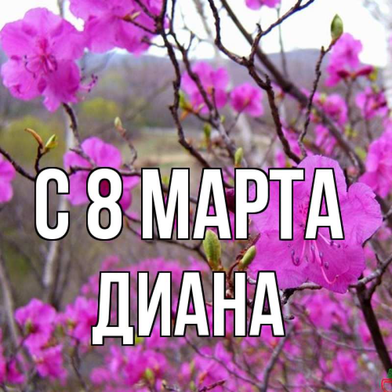 Картинка C 8 МАРТА, Диана