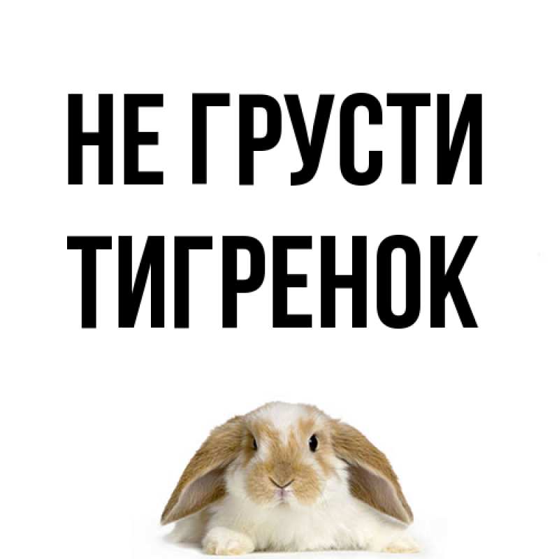 Картинка Не грусти, Тигpенок