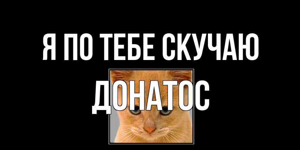 Открытка на каждый день с именем, Донатос Я по тебе скучаю открытки рыжий котенок скучает по тебе Прикольная открытка с пожеланием онлайн скачать бесплатно 