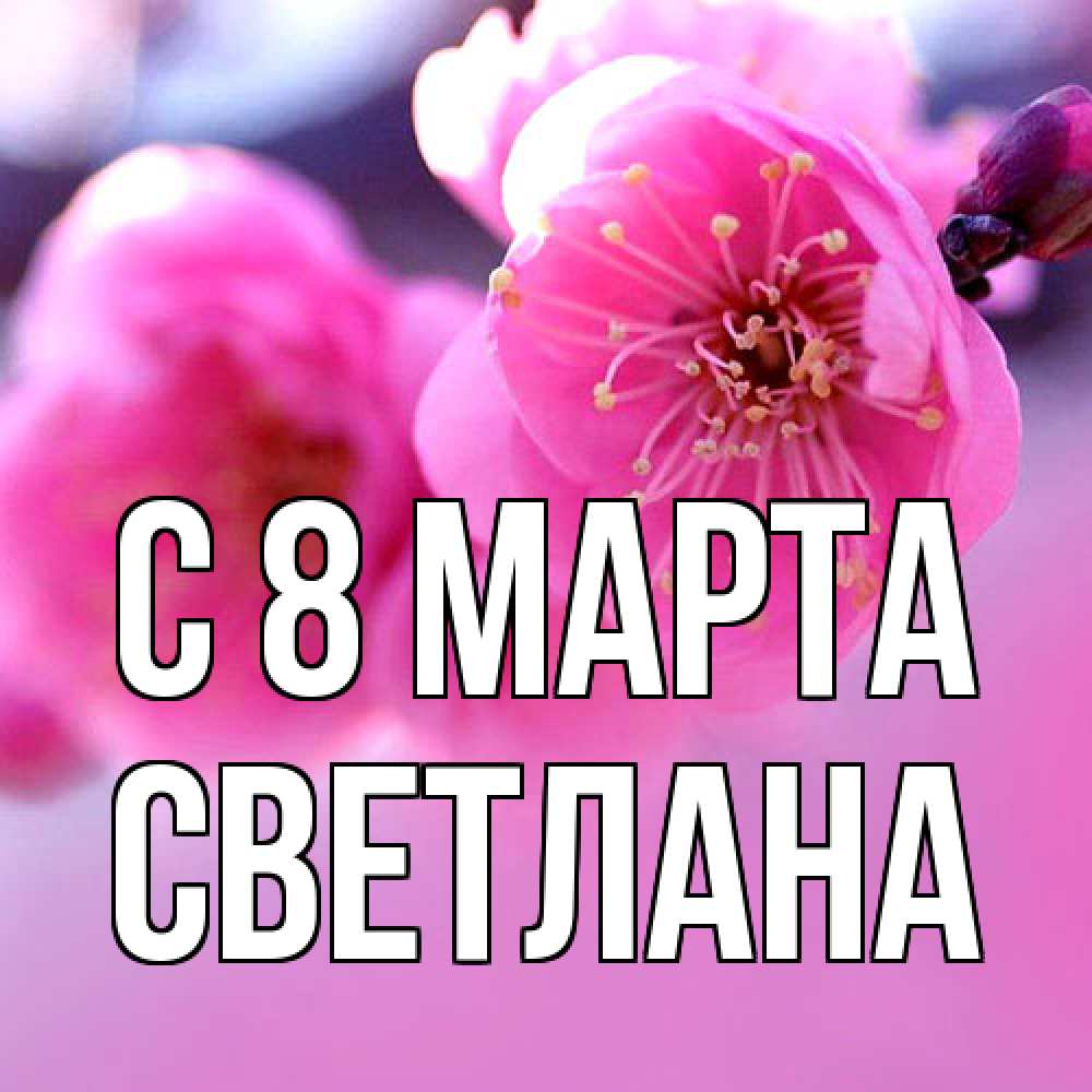 Открытка на каждый день с именем, Светлана C 8 МАРТА международный женский день Прикольная открытка с пожеланием онлайн скачать бесплатно 