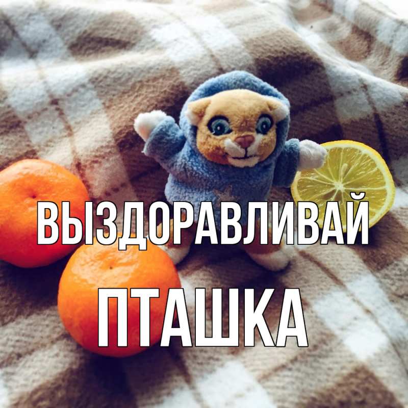 Картинка Выздоравливай, пташка