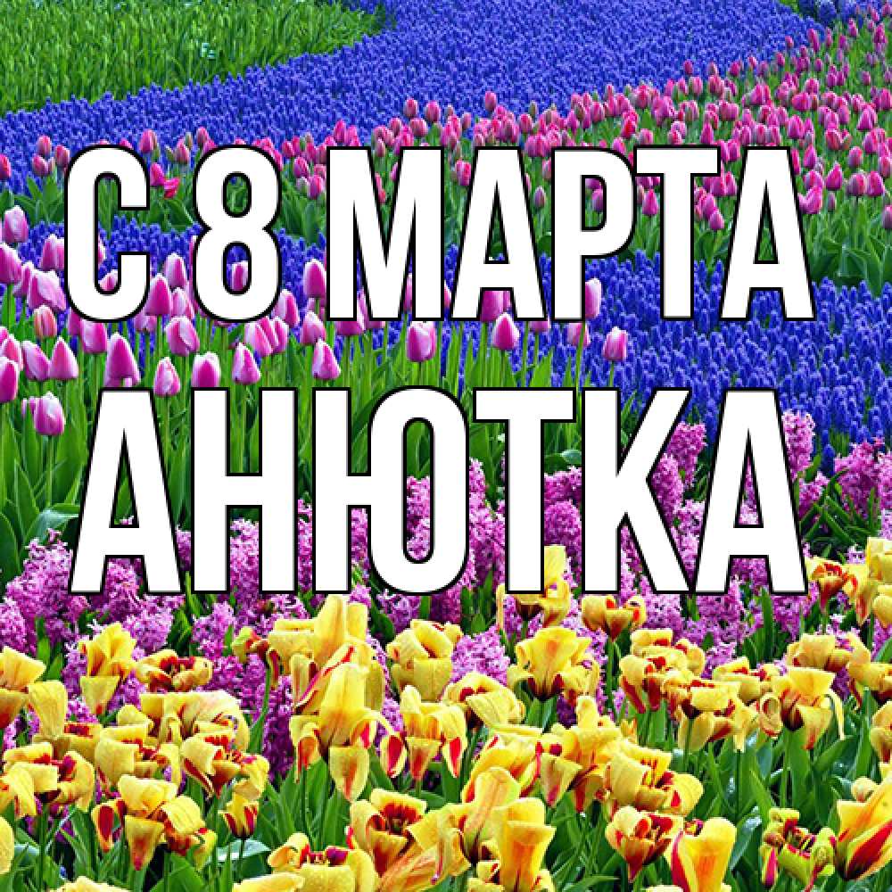 Открытка на каждый день с именем, Анютка C 8 МАРТА цветы Прикольная открытка с пожеланием онлайн скачать бесплатно 
