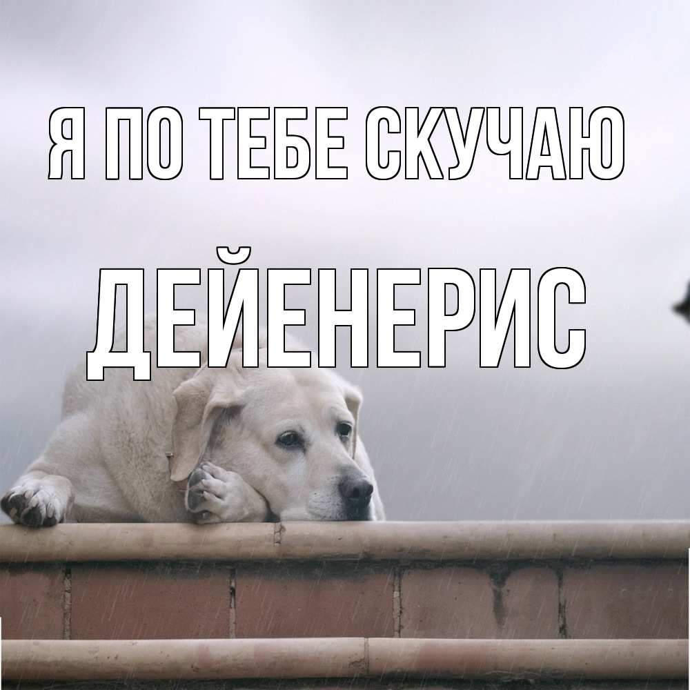 Открытка на каждый день с именем, Дейенерис Я по тебе скучаю ждет Прикольная открытка с пожеланием онлайн скачать бесплатно 