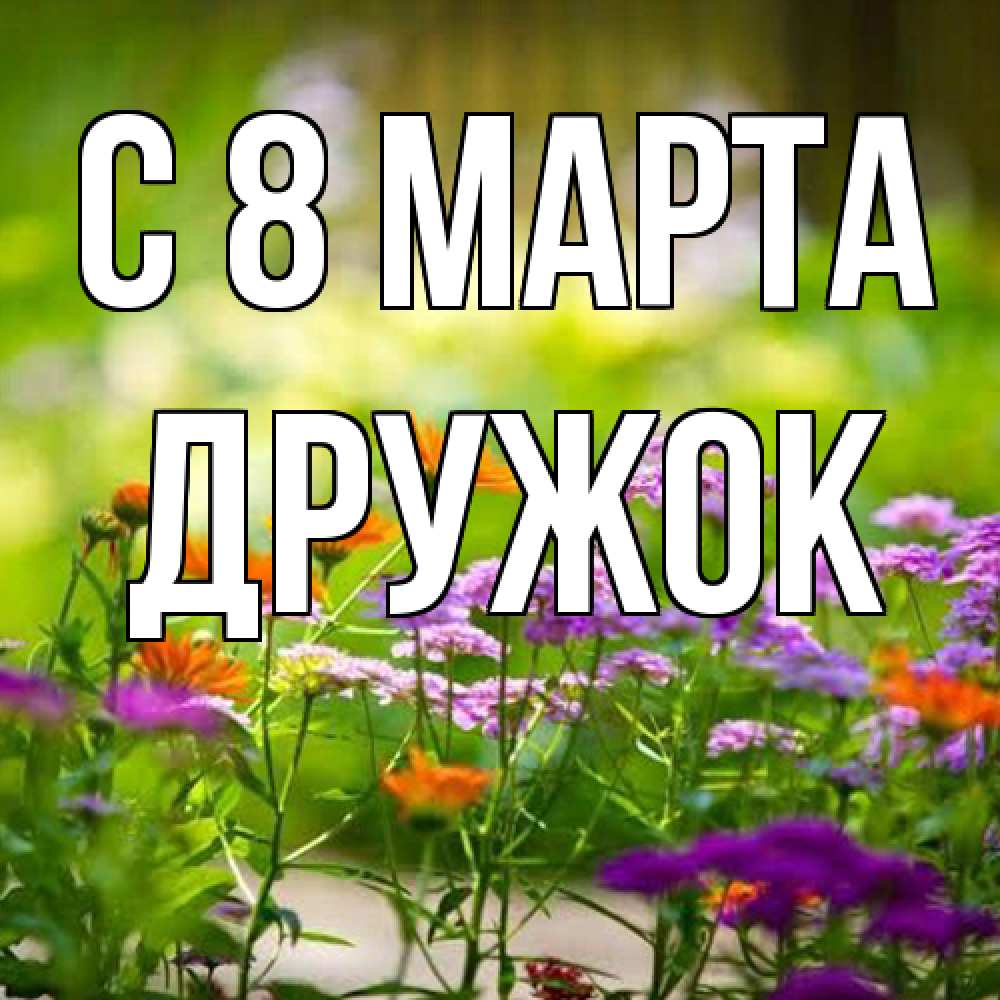Открытка на каждый день с именем, Дружок C 8 МАРТА цветы Прикольная открытка с пожеланием онлайн скачать бесплатно 