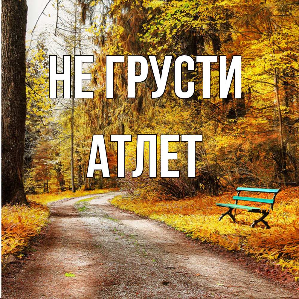 Открытка на каждый день с именем, Атлет Не грусти зеленая лавочка Прикольная открытка с пожеланием онлайн скачать бесплатно 