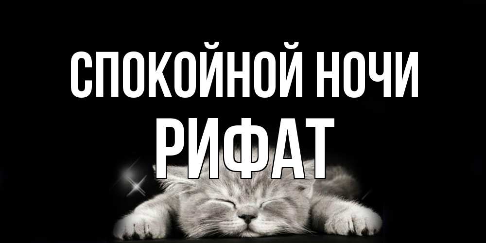 Открытка на каждый день с именем, Рифат Спокойной ночи спящий котик Прикольная открытка с пожеланием онлайн скачать бесплатно 