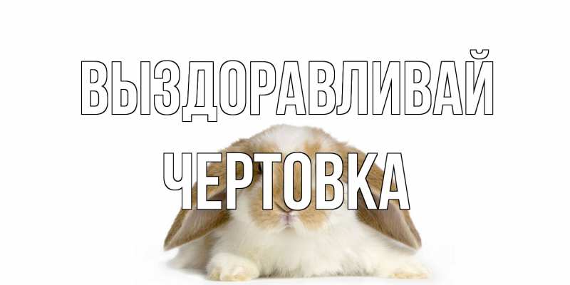 Картинка Выздоравливай, Чертовка