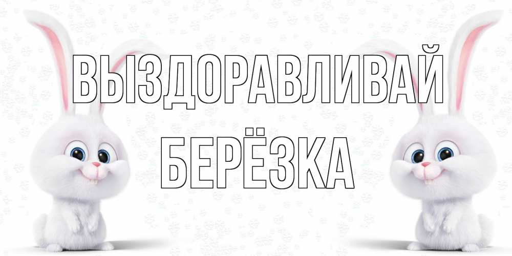 Открытка на каждый день с именем, Берёзка Выздоравливай не болей с зайцем Прикольная открытка с пожеланием онлайн скачать бесплатно 