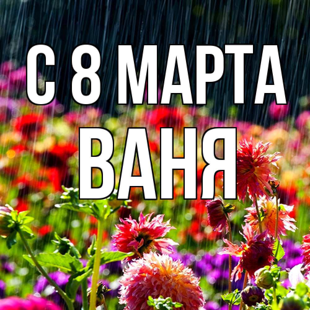 Открытка на каждый день с именем, Ваня C 8 МАРТА цветы под дождиком к международному женскому дню Прикольная открытка с пожеланием онлайн скачать бесплатно 
