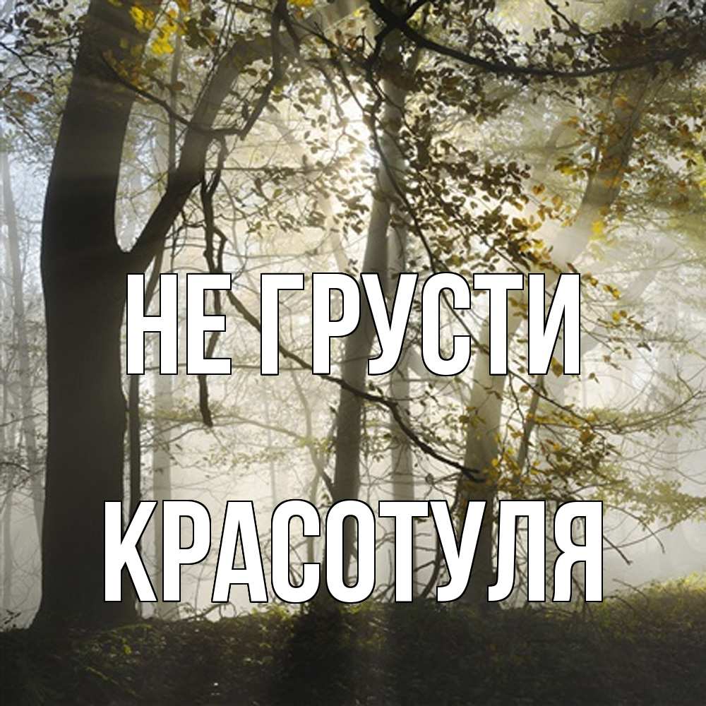 Открытка на каждый день с именем, Красотуля Не грусти лес и свет Прикольная открытка с пожеланием онлайн скачать бесплатно 