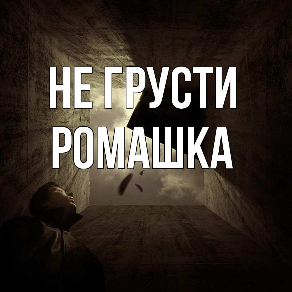 Открытка на каждый день с именем, Ромашка Не грусти жуть Прикольная открытка с пожеланием онлайн скачать бесплатно 