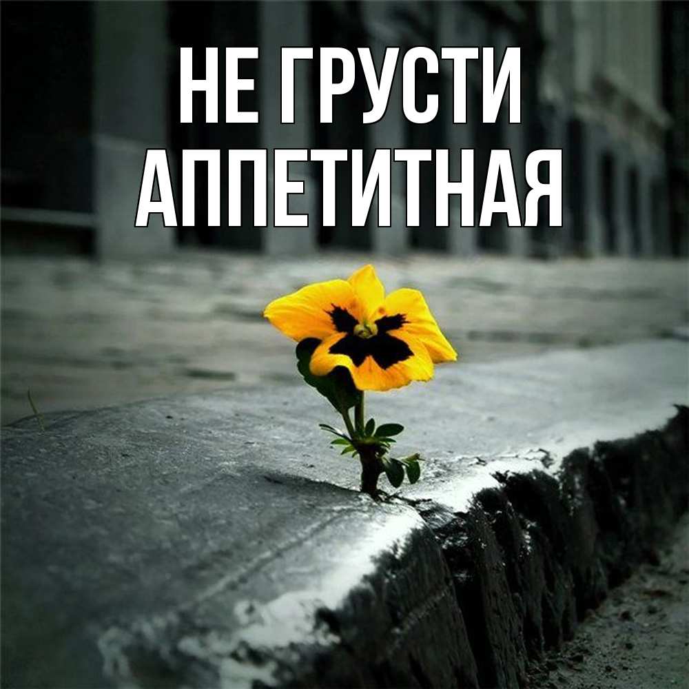 Открытка на каждый день с именем, аппетитная Не грусти не сдавайся Прикольная открытка с пожеланием онлайн скачать бесплатно 