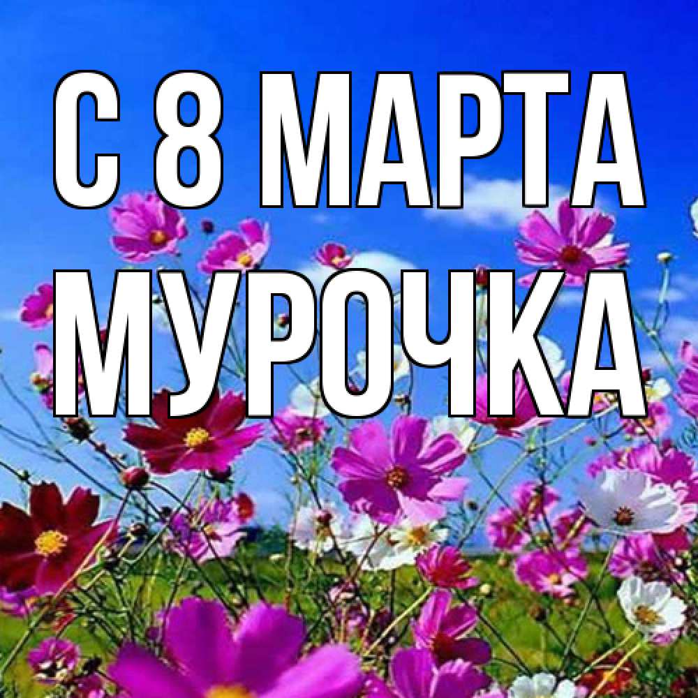 Открытка на каждый день с именем, Мурочка C 8 МАРТА цветы Прикольная открытка с пожеланием онлайн скачать бесплатно 