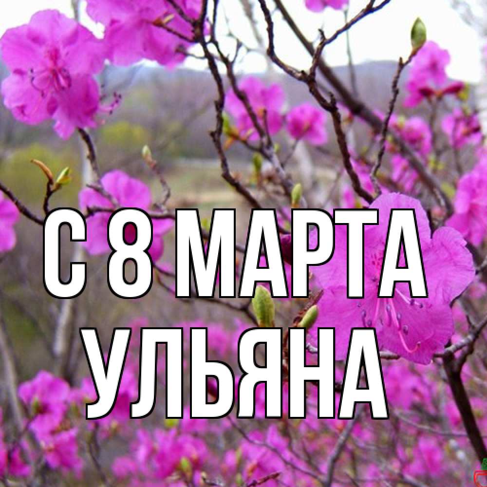 Открытка на каждый день с именем, Ульяна C 8 МАРТА международный женский день Прикольная открытка с пожеланием онлайн скачать бесплатно 