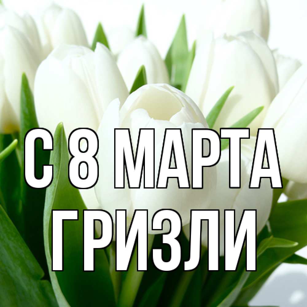 Открытка на каждый день с именем, Гризли C 8 МАРТА цветы Прикольная открытка с пожеланием онлайн скачать бесплатно 