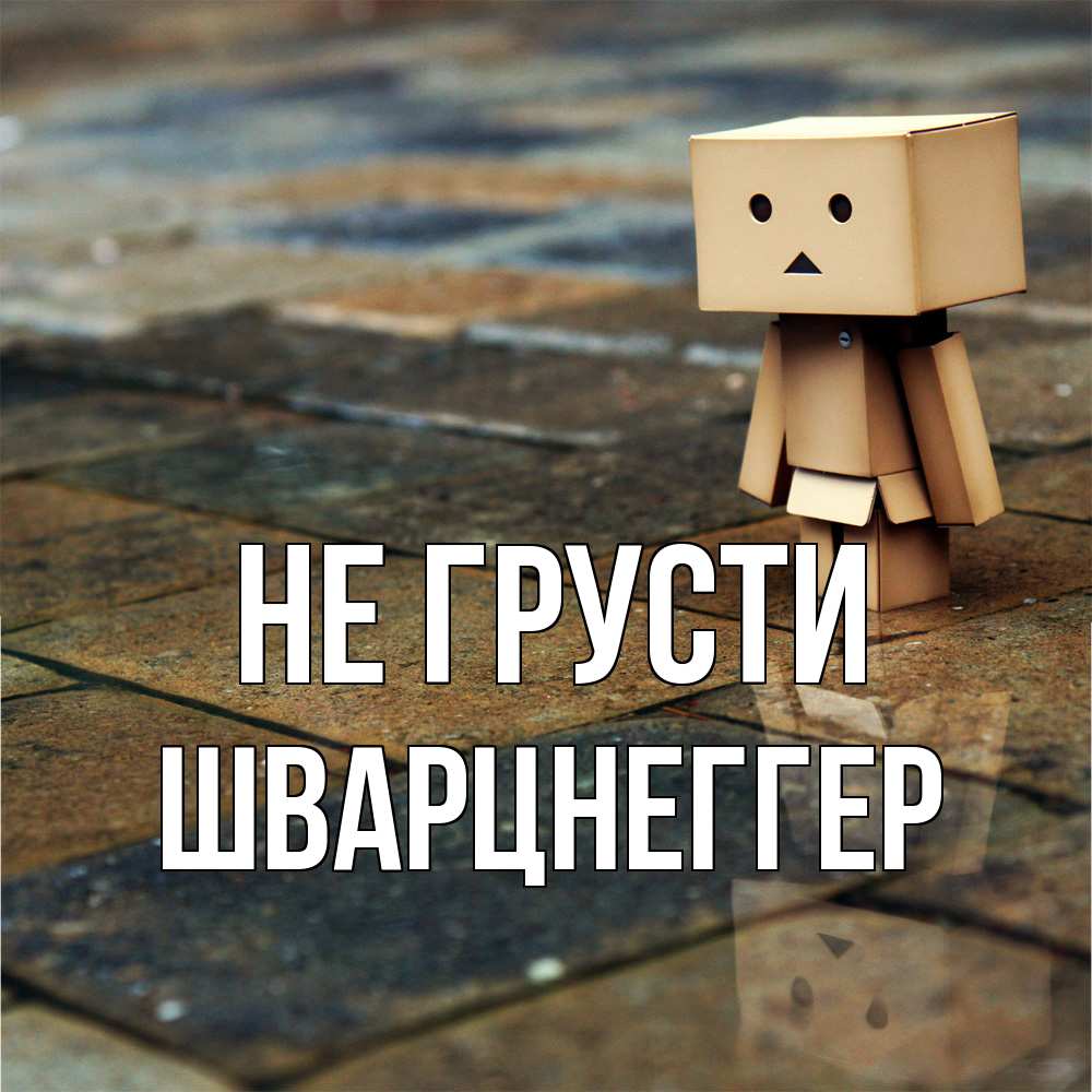 Открытка на каждый день с именем, Шварцнеггер Не грусти Стив Прикольная открытка с пожеланием онлайн скачать бесплатно 